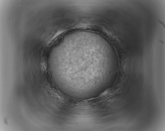 X0000103141206200809051606