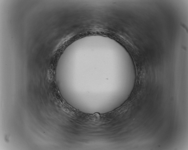 X0000103141207200809051606