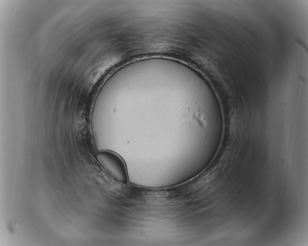 X0000103141210200809051606