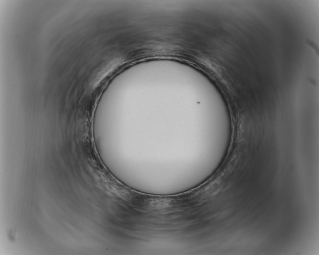 X0000103141211200809051606