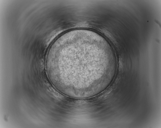 X0000103141212200809051606