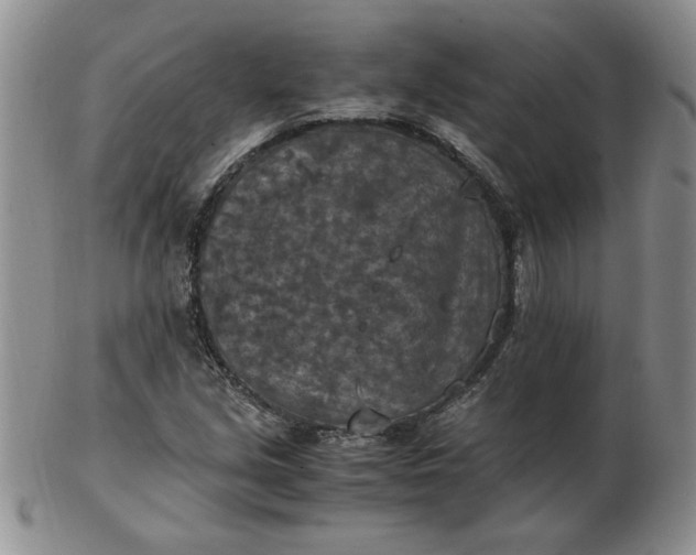 X0000103141213200809051606