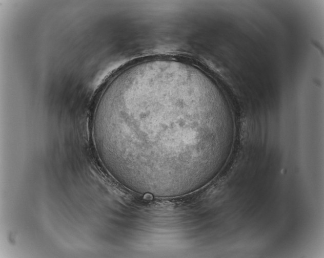 X0000103141214200809051606