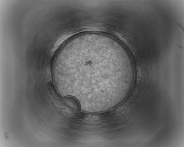 X0000103141215200809051606