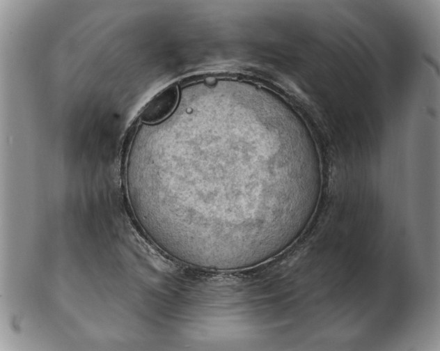 X0000103141216200809051606