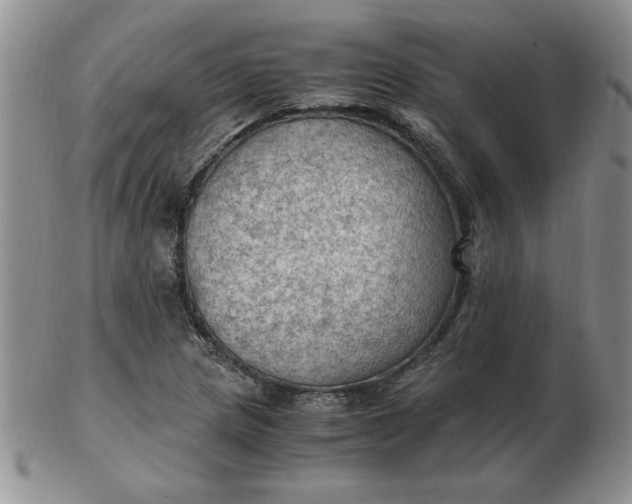 X0000103141217200809051606