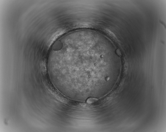 X0000103141218200809051606