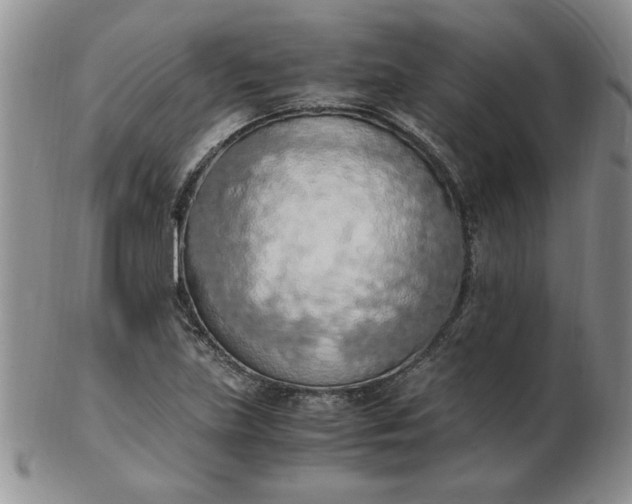 X0000103141219200809051606