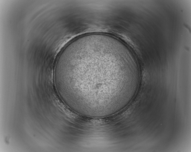 X0000103141220200809051606