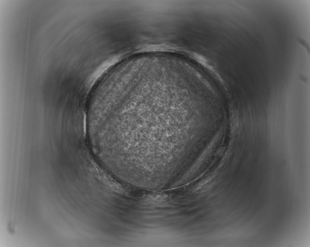 X0000103141221200809051606