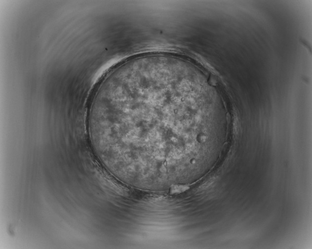 X0000103141222200809051606