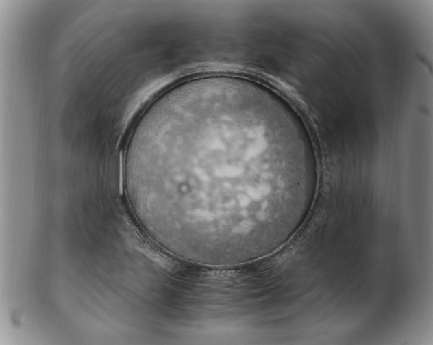 X0000103141223200809051606