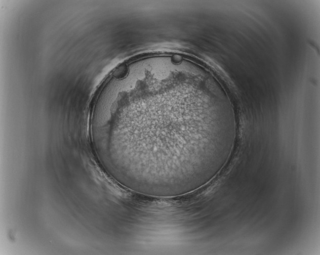 X0000103141224200809051606