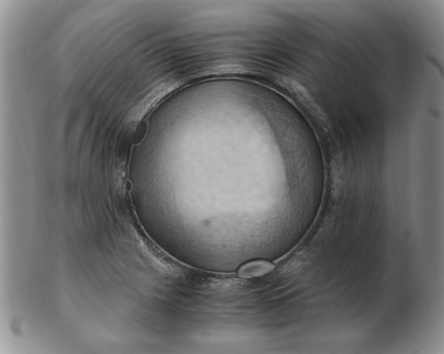 X0000103141225200809051607