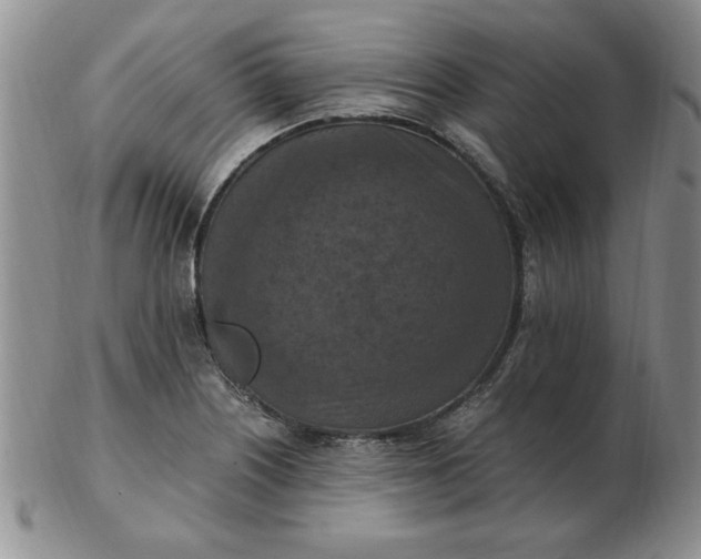 X0000103141226200809051607