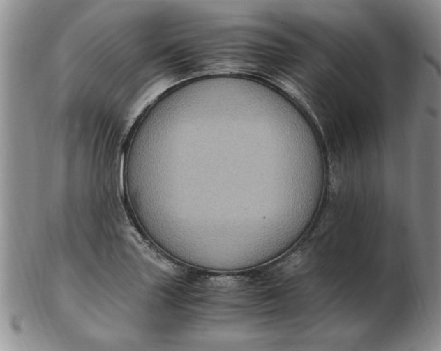 X0000103141227200809051607