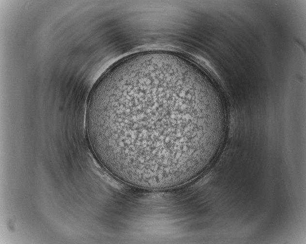 X0000103141228200809051607