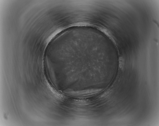 X0000103141229200809051607