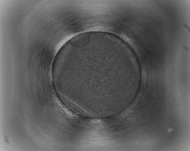 X0000103141230200809051607