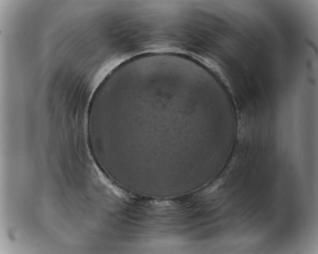 X0000103141231200809051607