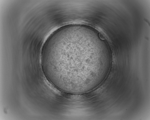 X0000103141232200809051607