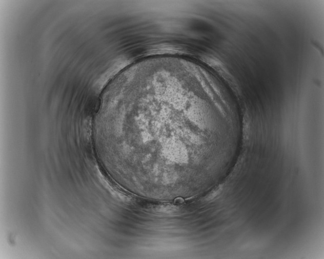 X0000103141233200809051607