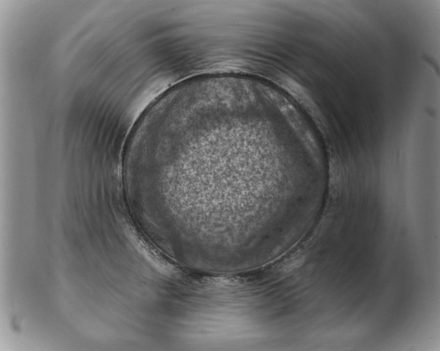 X0000103141234200809051607