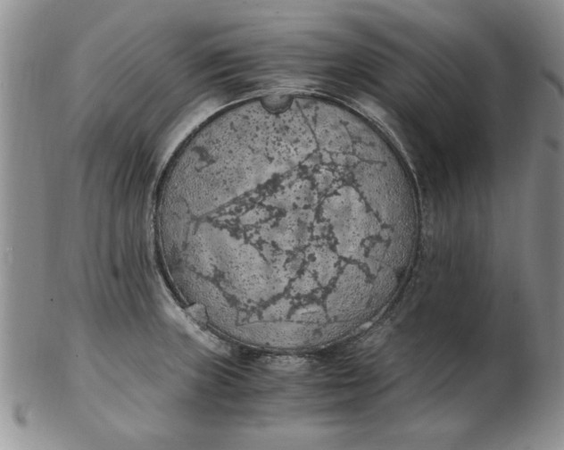 X0000103141235200809051607