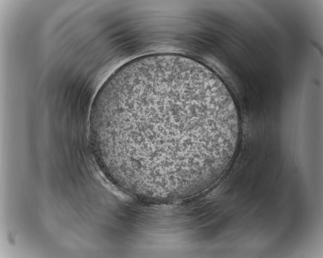 X0000103141236200809051607