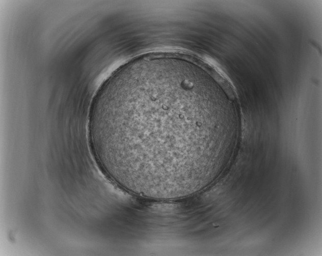 X0000103141237200809051607