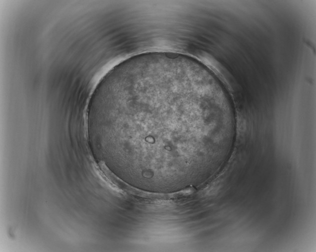 X0000103141238200809051607