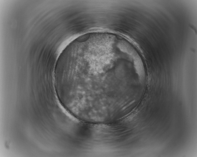 X0000103141239200809051607