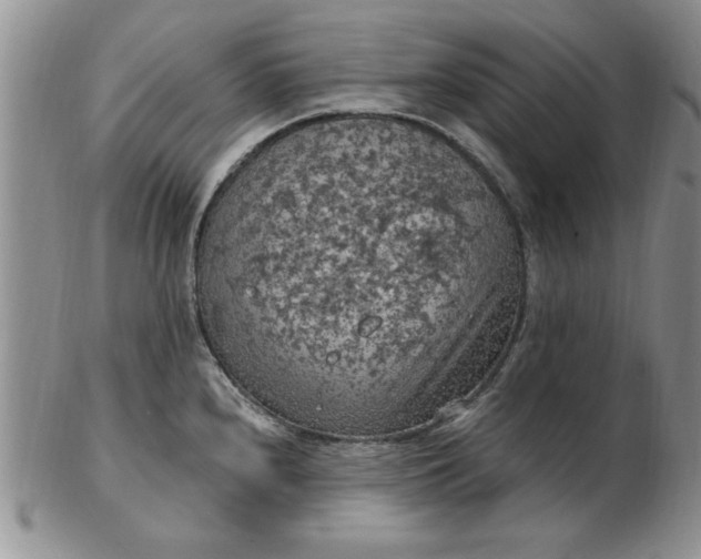 X0000103141240200809051607