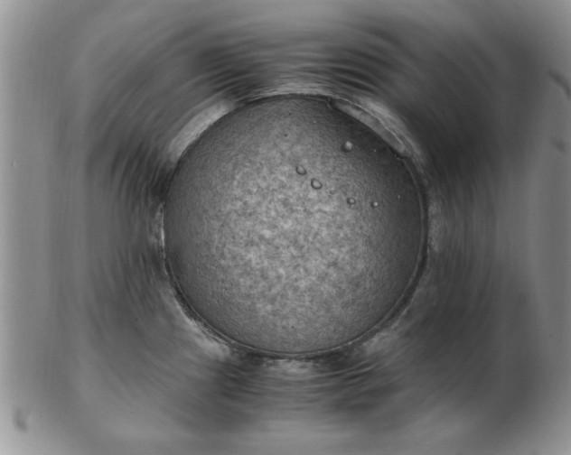 X0000103141241200809051607