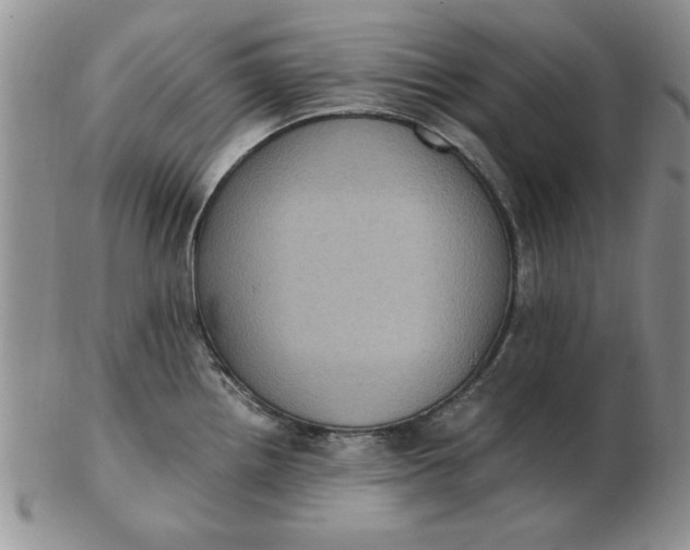 X0000103141242200809051607