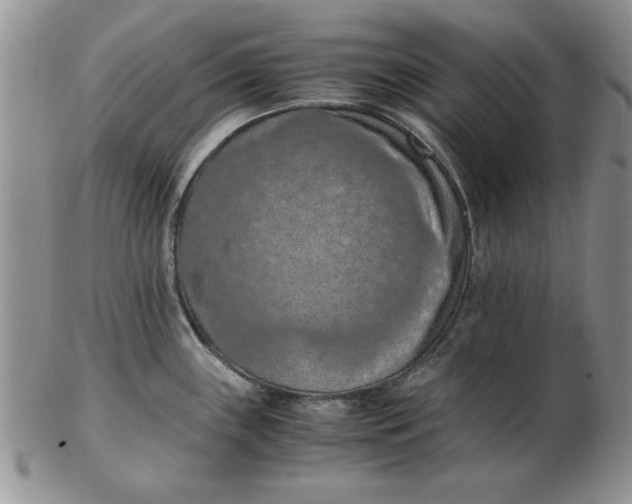 X0000103141243200809051607