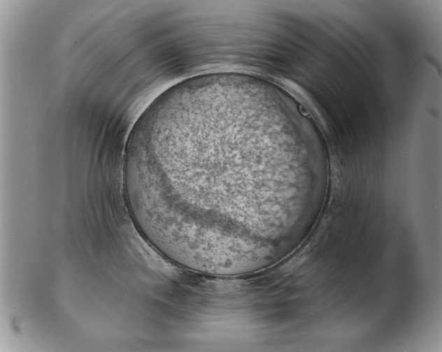 X0000103141244200809051607