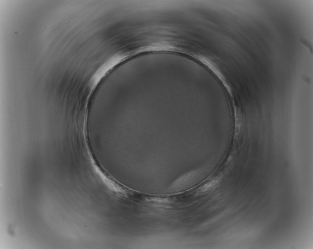 X0000103141245200809051607