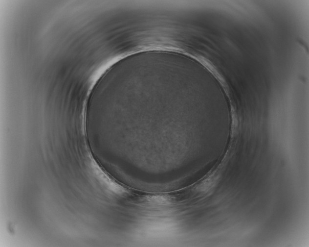 X0000103141246200809051607