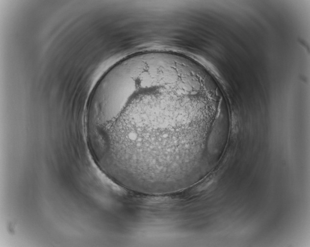 X0000103141247200809051607