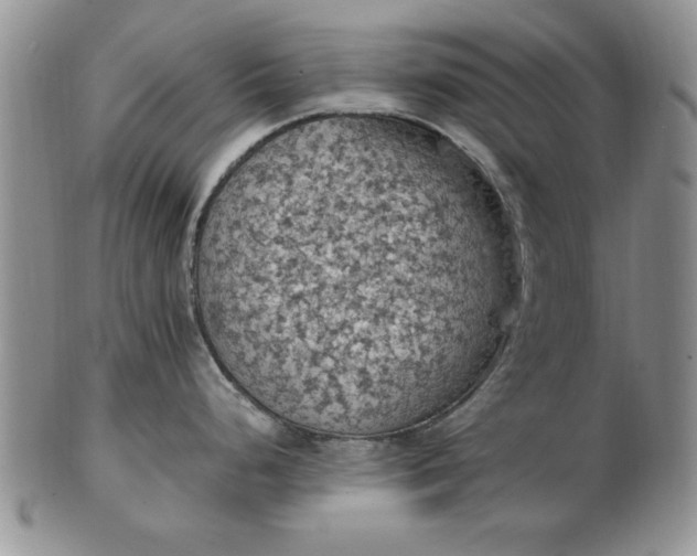 X0000103141248200809051607