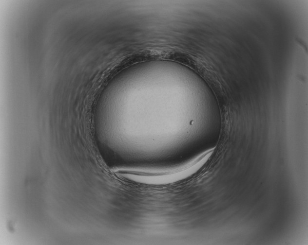 X0000103141249200809051606