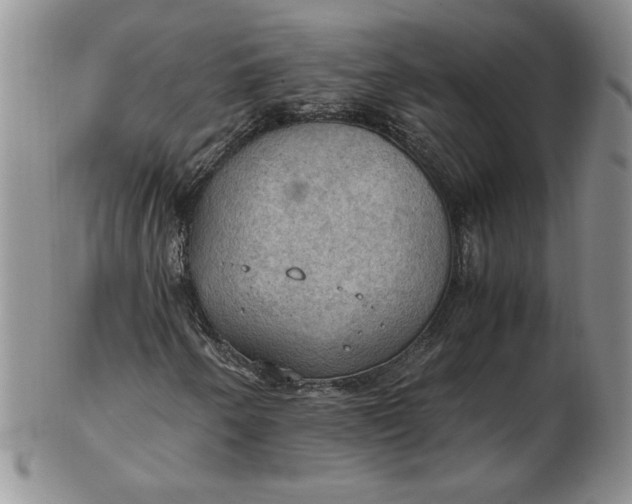 X0000103141250200809051606