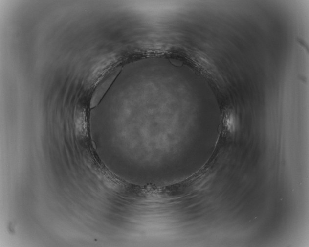 X0000103141252200809051606