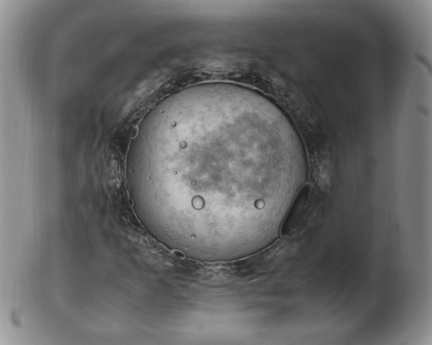 X0000103141253200809051606