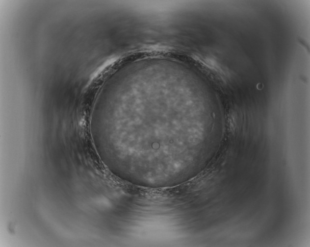 X0000103141254200809051606