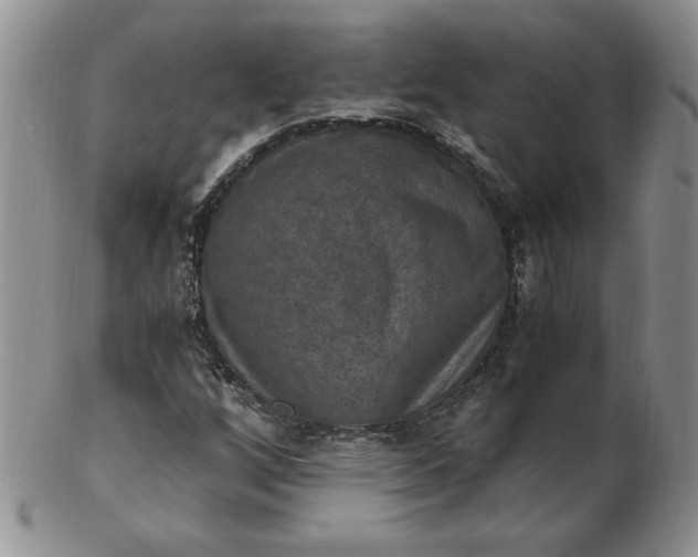 X0000103141256200809051606