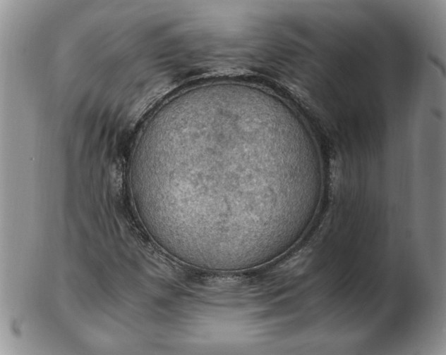 X0000103141257200809051606