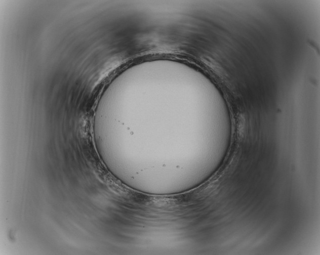 X0000103141258200809051606