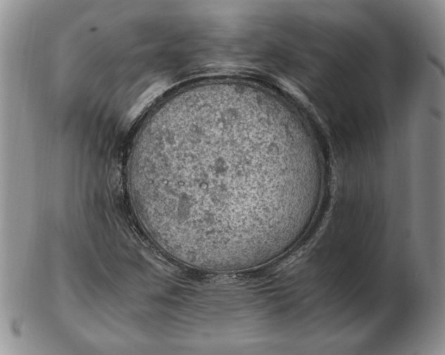 X0000103141259200809051606